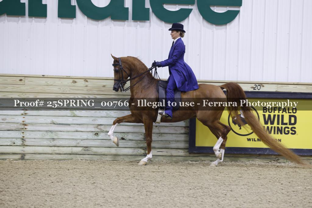 Proof 25SPRING_00766