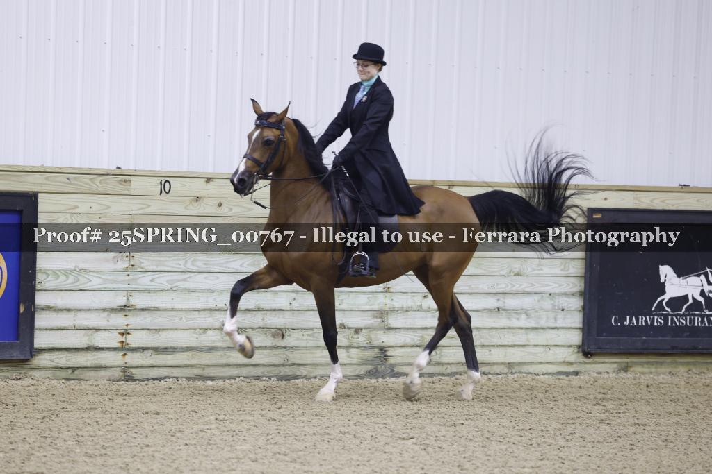 Proof 25SPRING_00767
