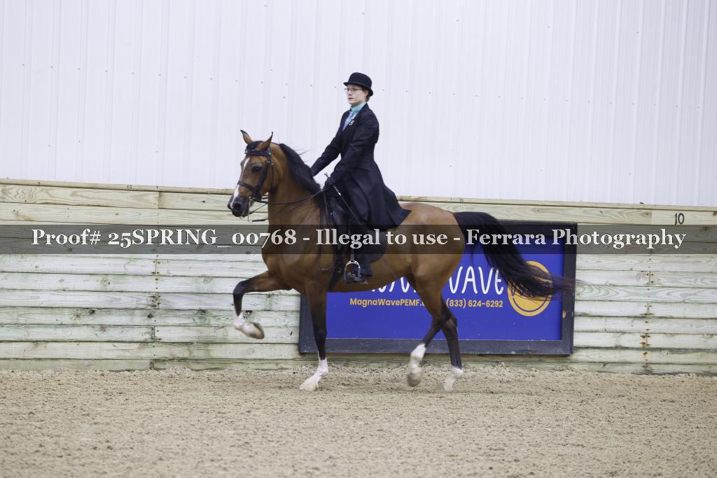 Proof 25SPRING_00768