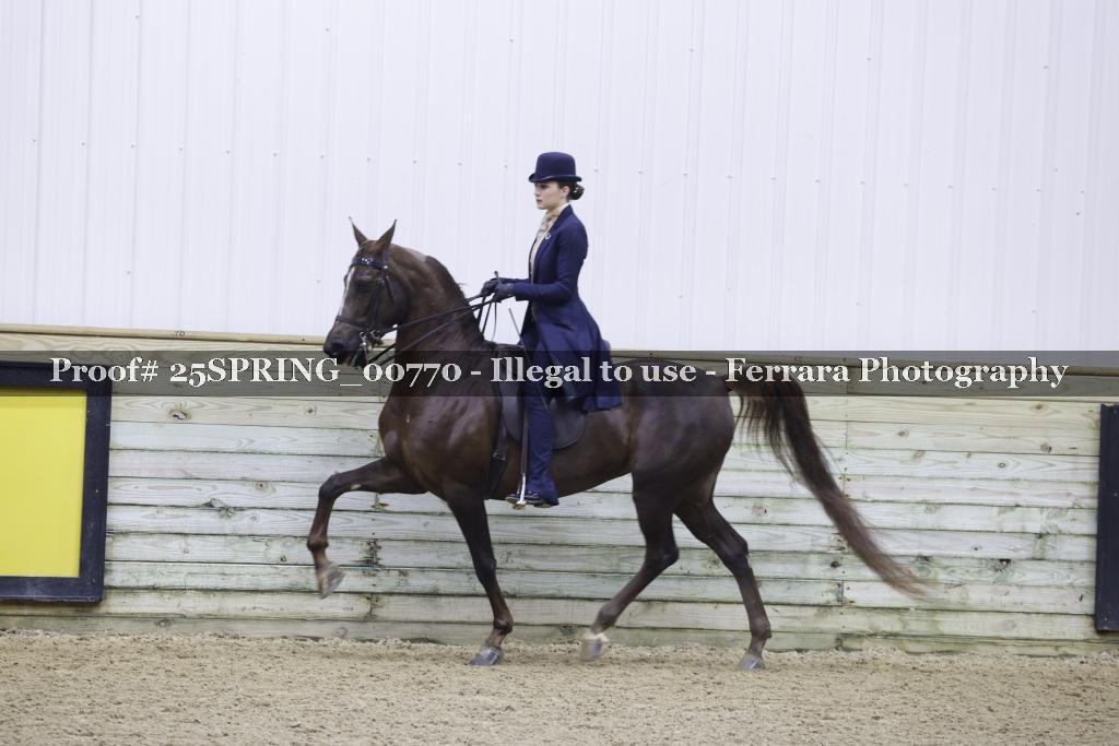 Proof 25SPRING_00770