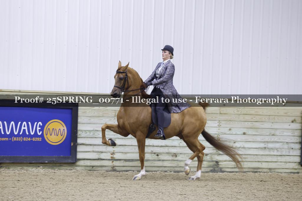 Proof 25SPRING_00771