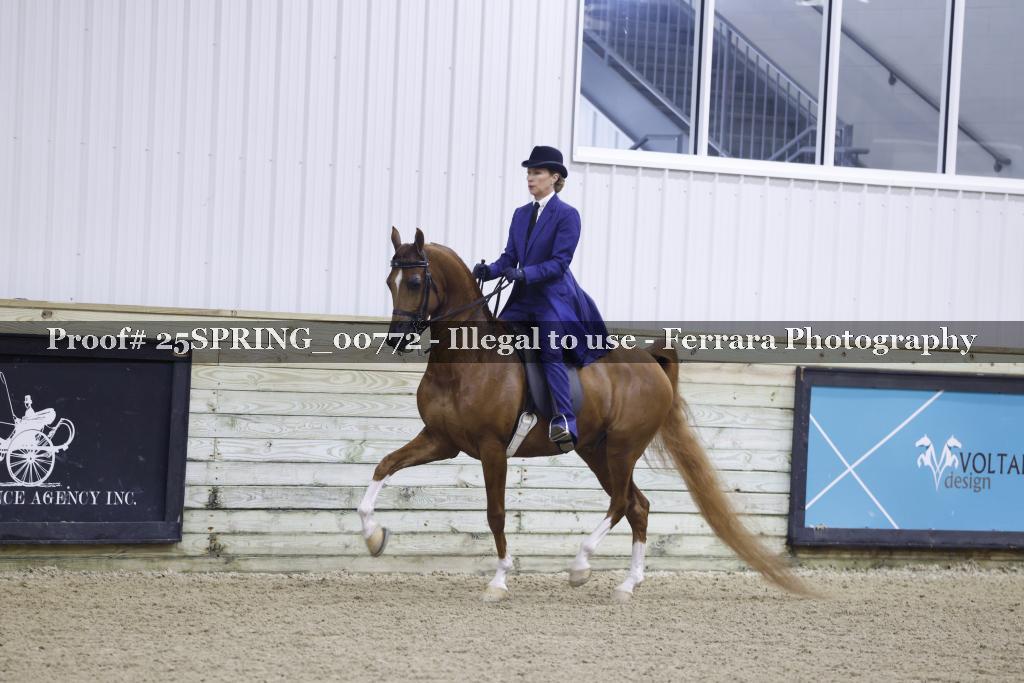 Proof 25SPRING_00772