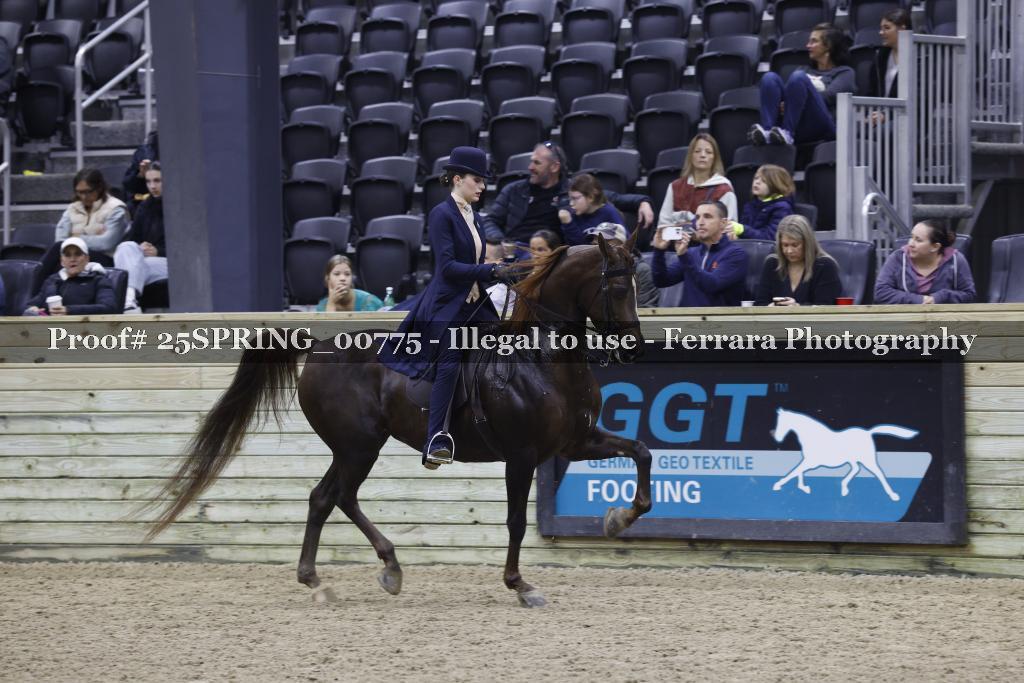 Proof 25SPRING_00775