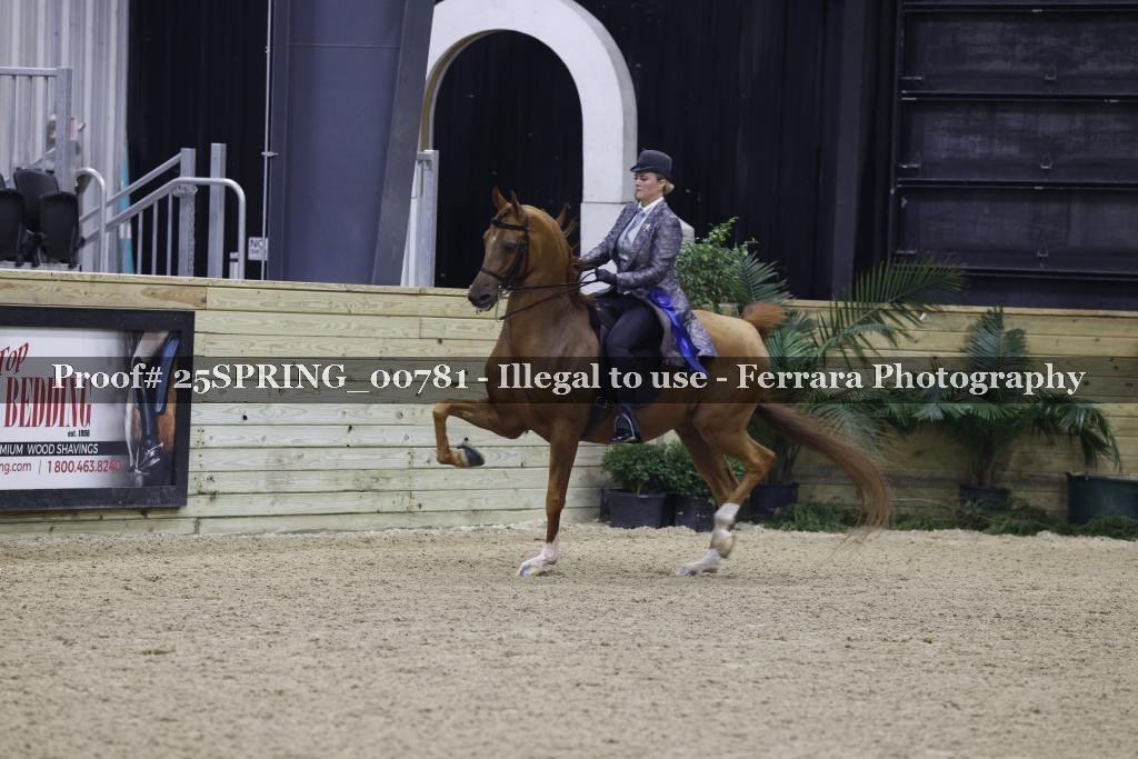 Proof 25SPRING_00781
