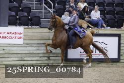 25SPRING_00784 proof
