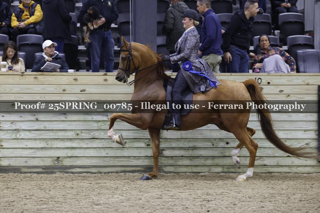 Proof 25SPRING_00785