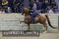 25SPRING_00785 proof