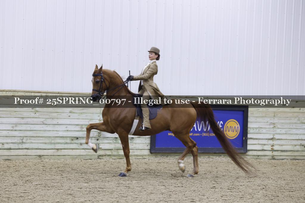 Proof 25SPRING_00797