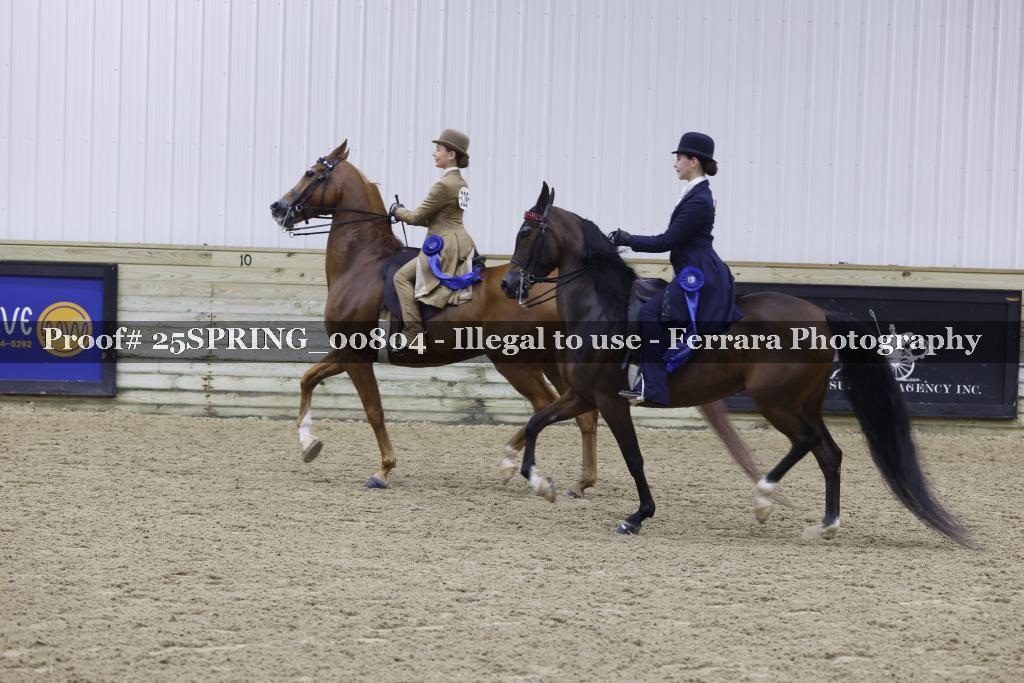 Proof 25SPRING_00804