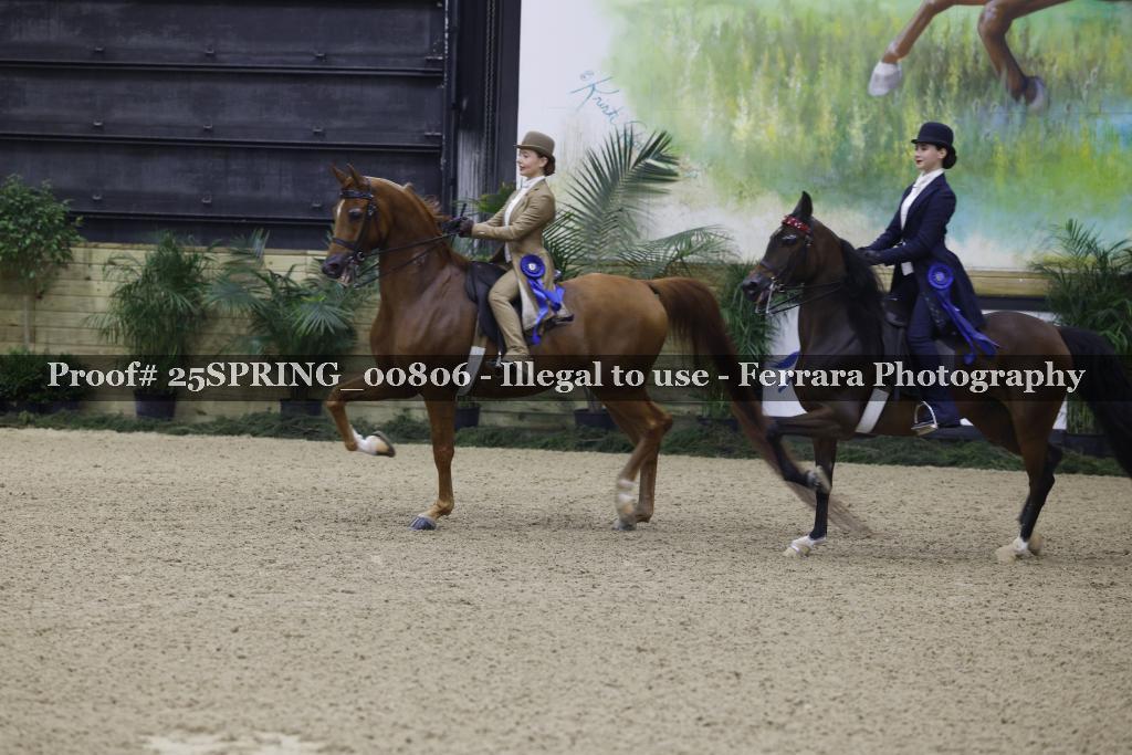 Proof 25SPRING_00806