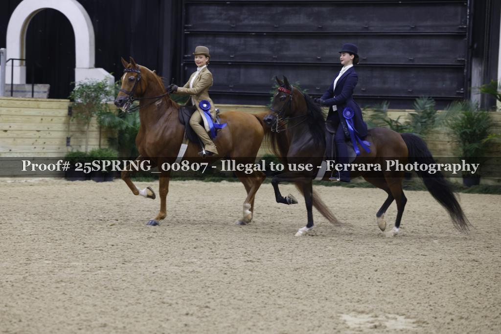 Proof 25SPRING_00807