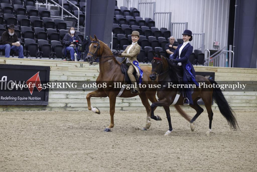 Proof 25SPRING_00808