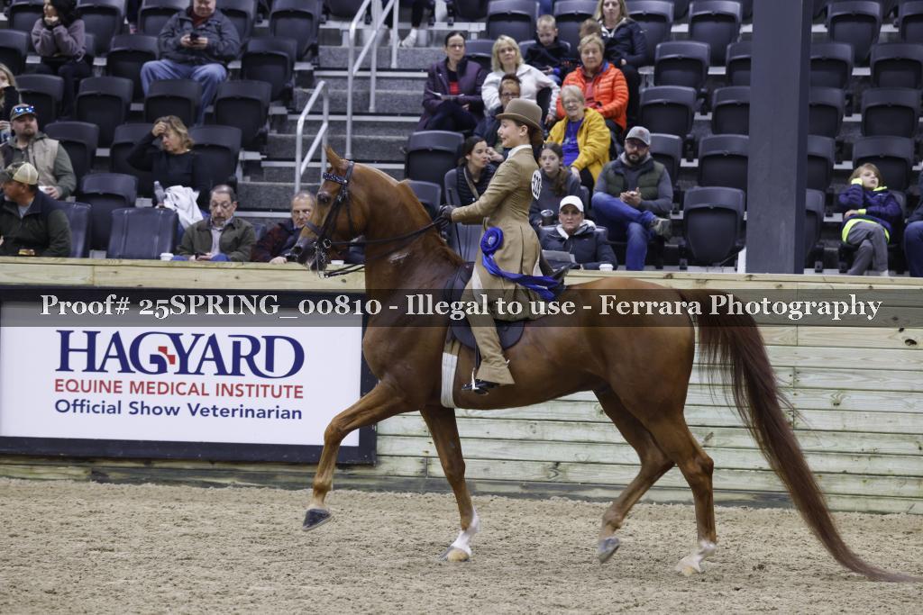 Proof 25SPRING_00810