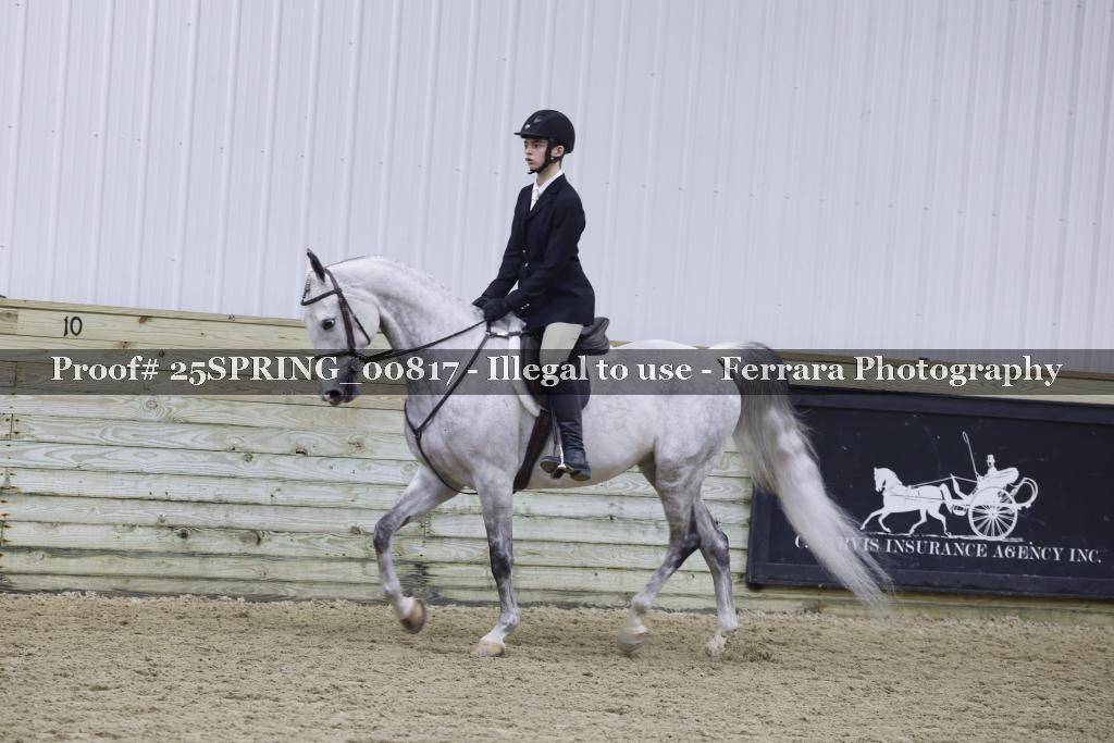 Proof 25SPRING_00817
