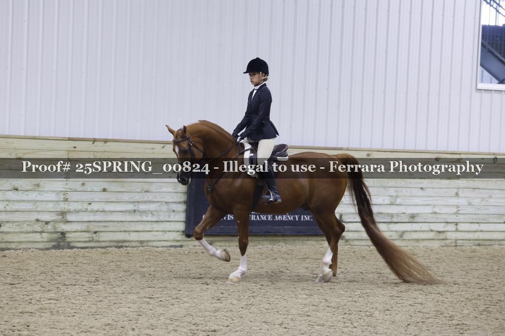 Proof 25SPRING_00824