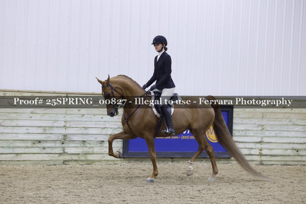 Proof 25SPRING_00827