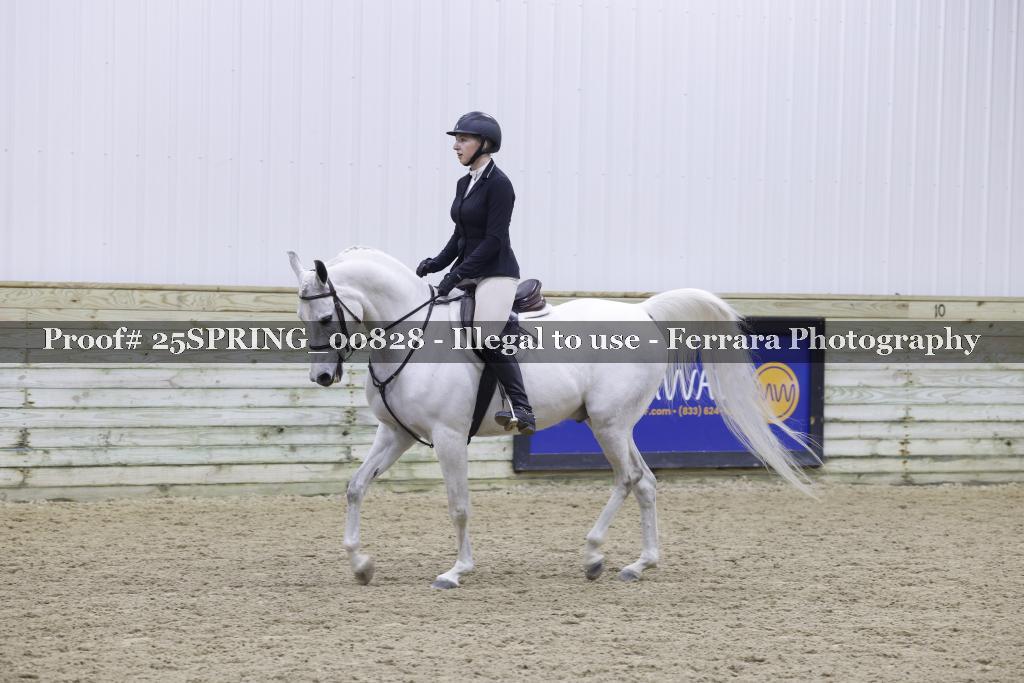 Proof 25SPRING_00828