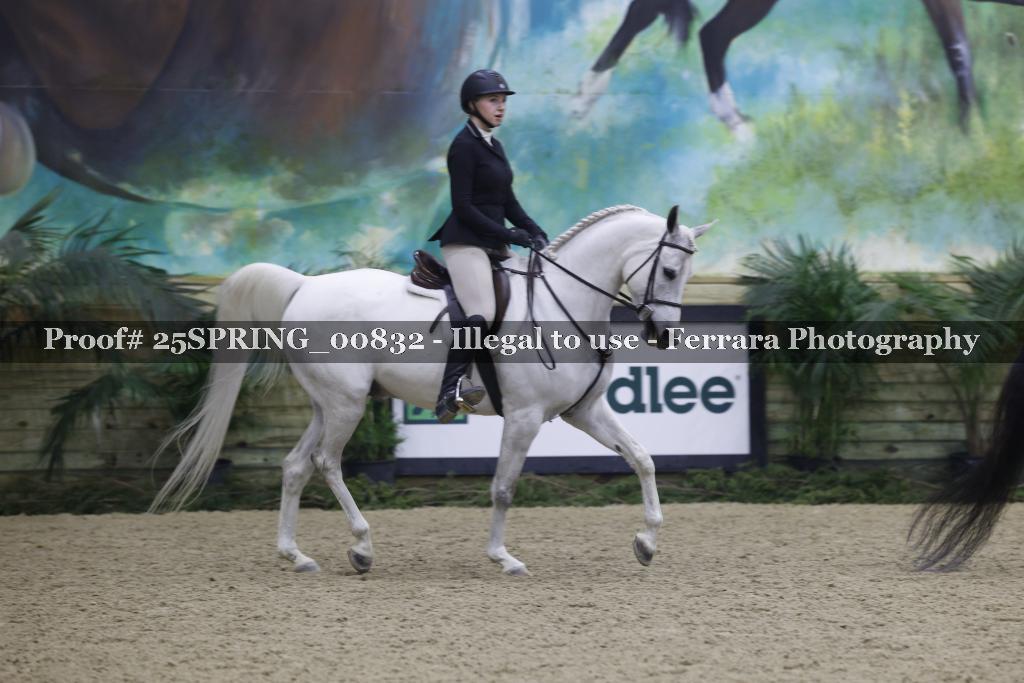 Proof 25SPRING_00832