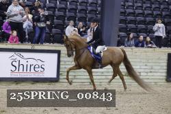 25SPRING_00843 proof