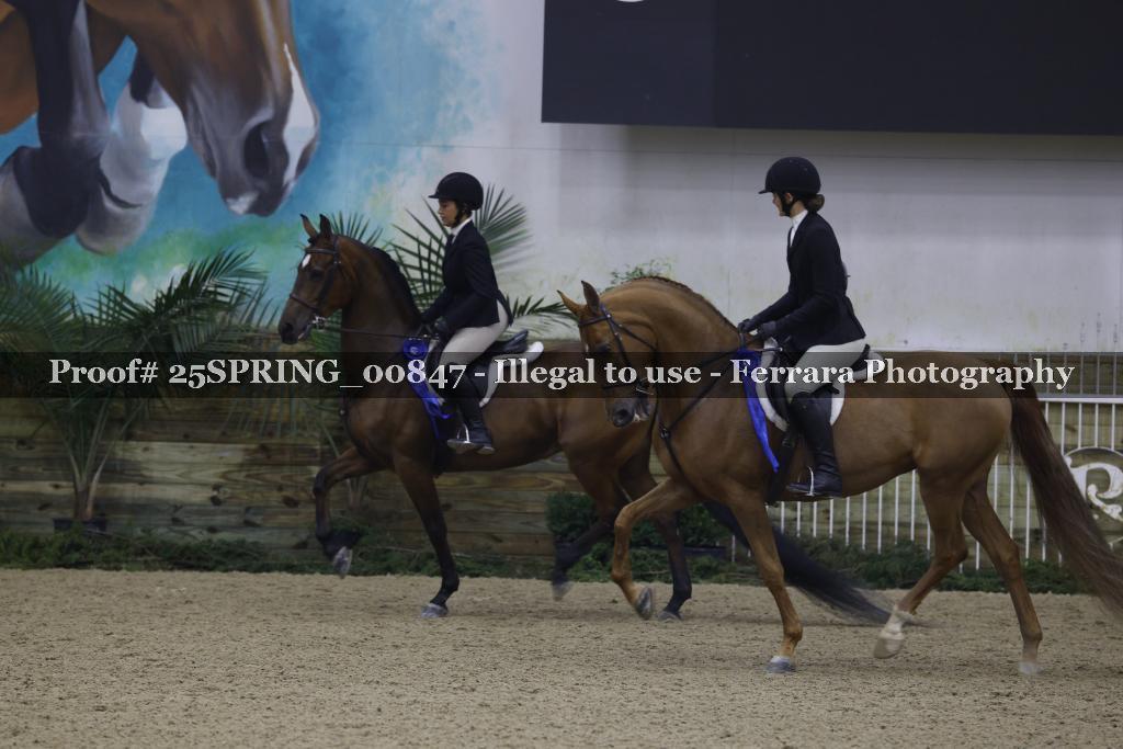 Proof 25SPRING_00847