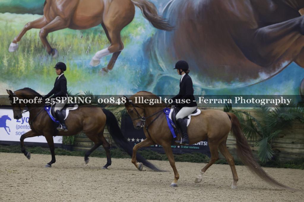 Proof 25SPRING_00848