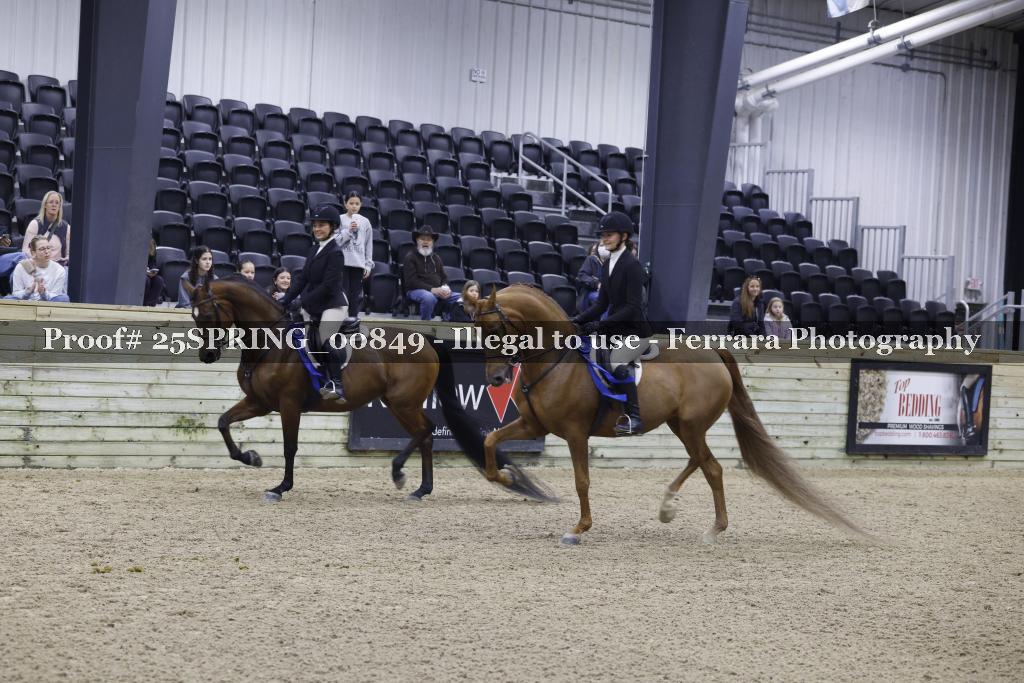 Proof 25SPRING_00849