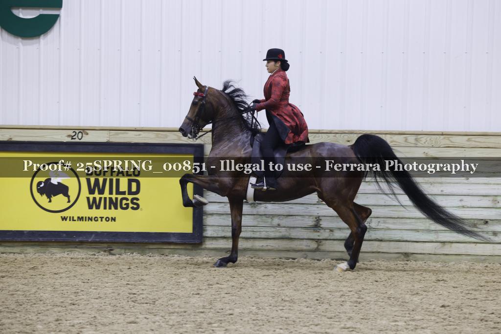 Proof 25SPRING_00851