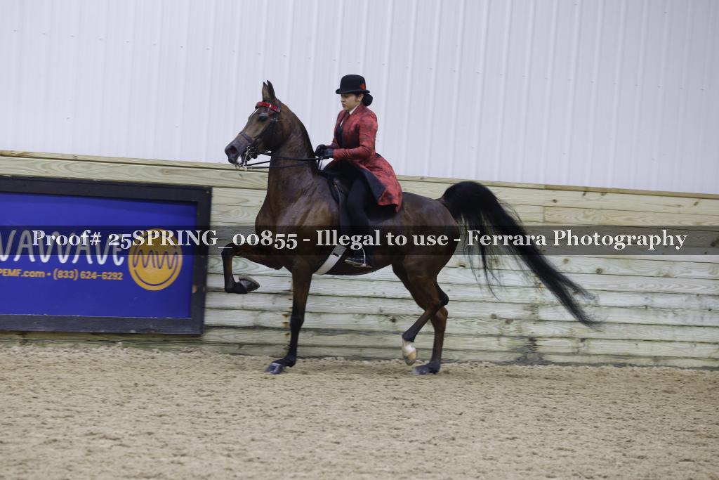 Proof 25SPRING_00855