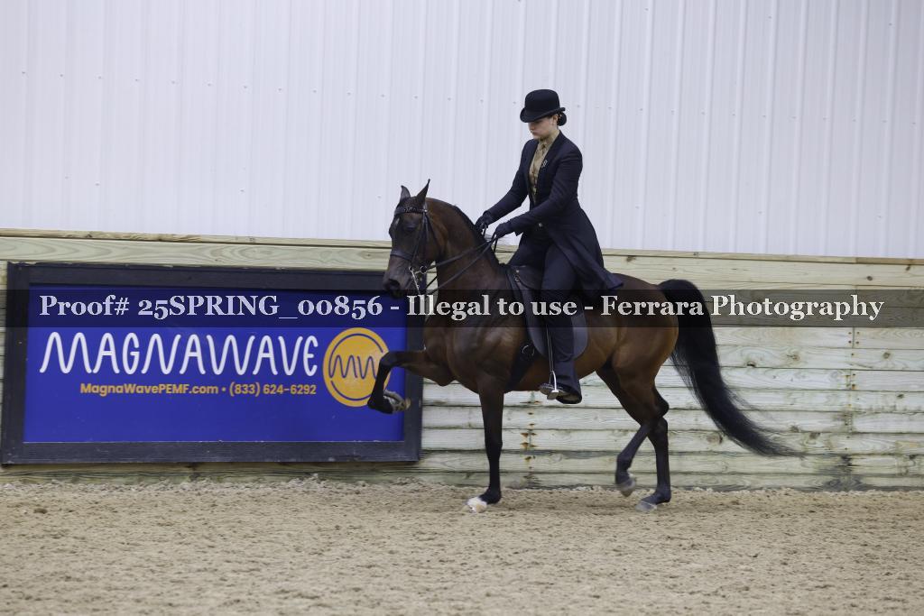 Proof 25SPRING_00856