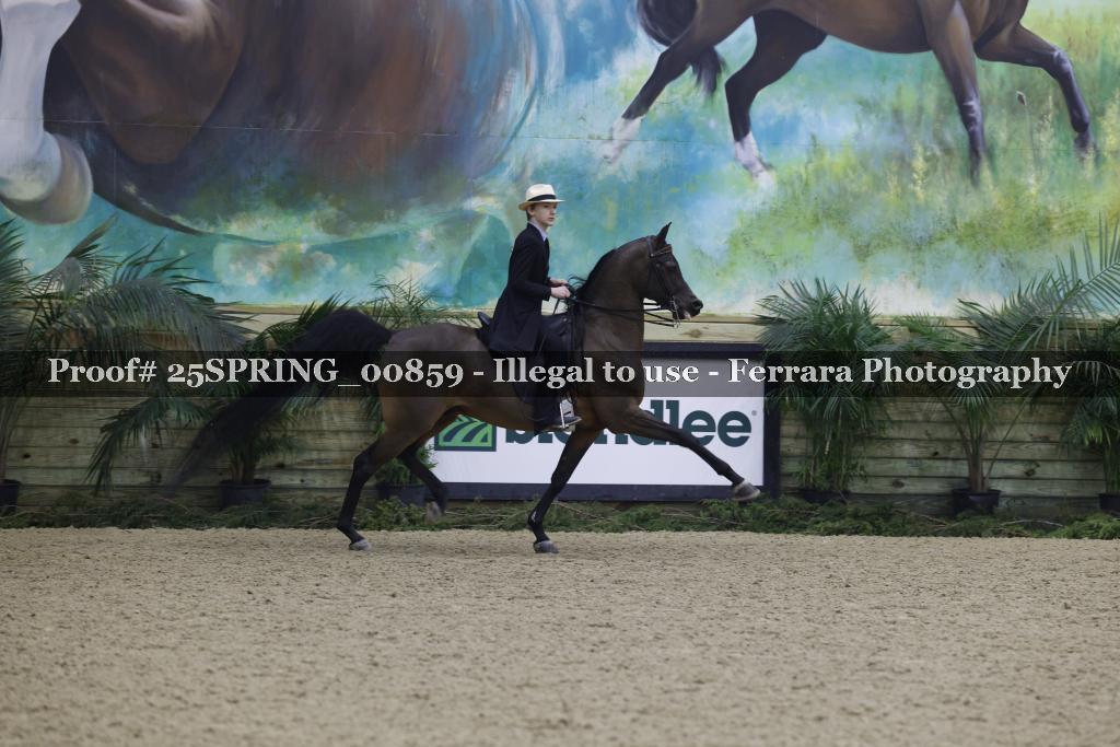 Proof 25SPRING_00859