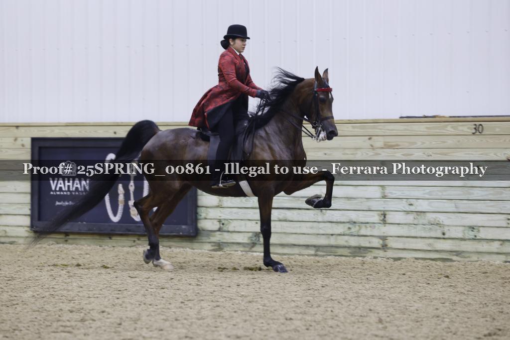 Proof 25SPRING_00861