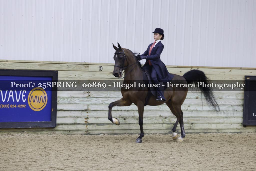 Proof 25SPRING_00869