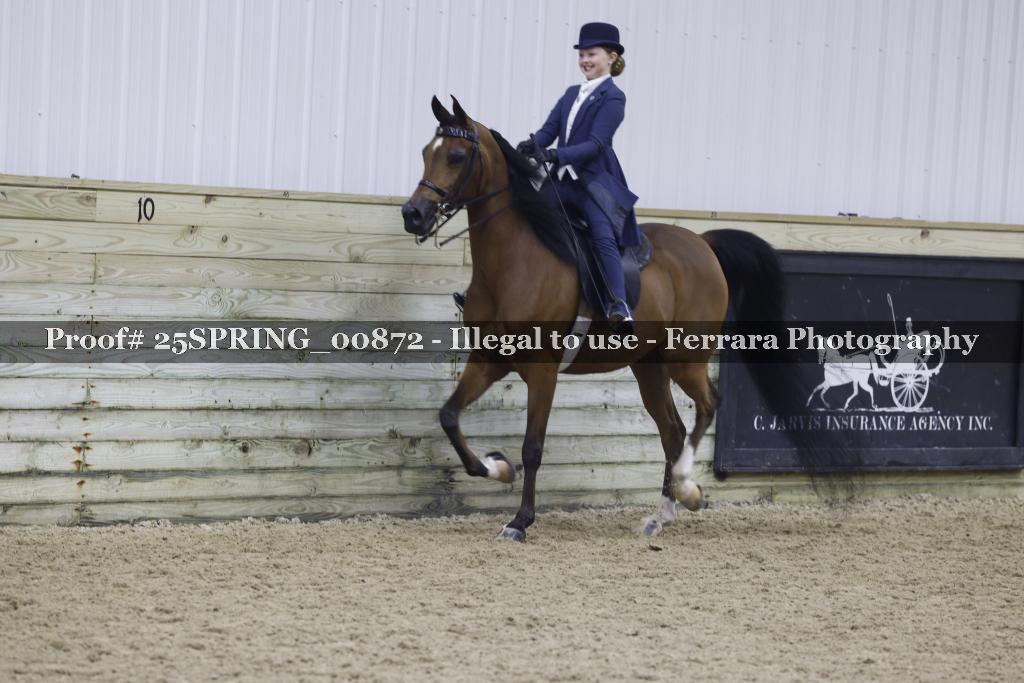 Proof 25SPRING_00872