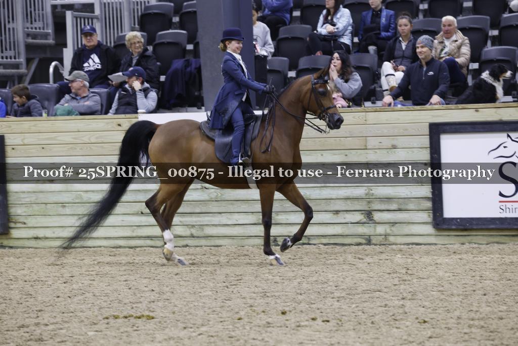 Proof 25SPRING_00875