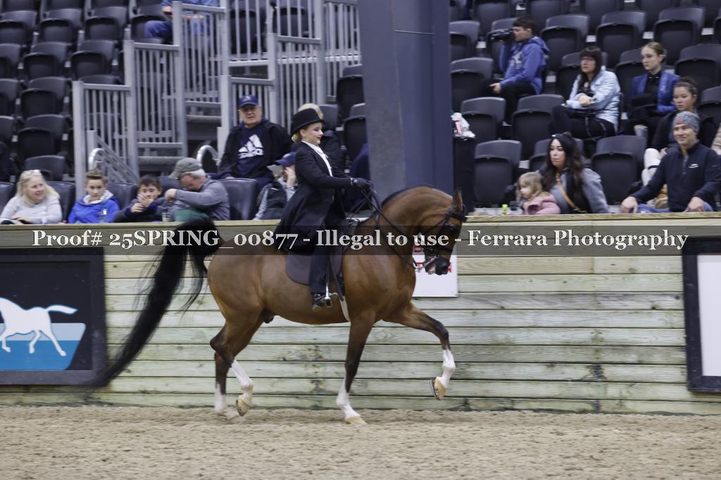 Proof 25SPRING_00877