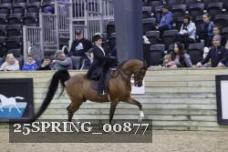 25SPRING_00877 proof