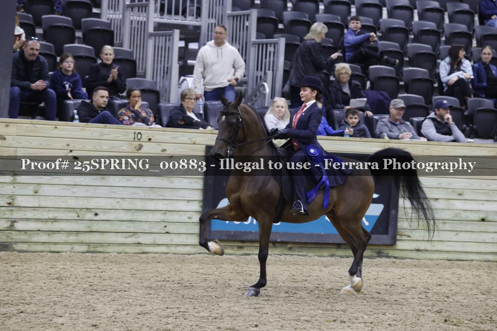 Proof 25SPRING_00883