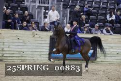 25SPRING_00883 proof