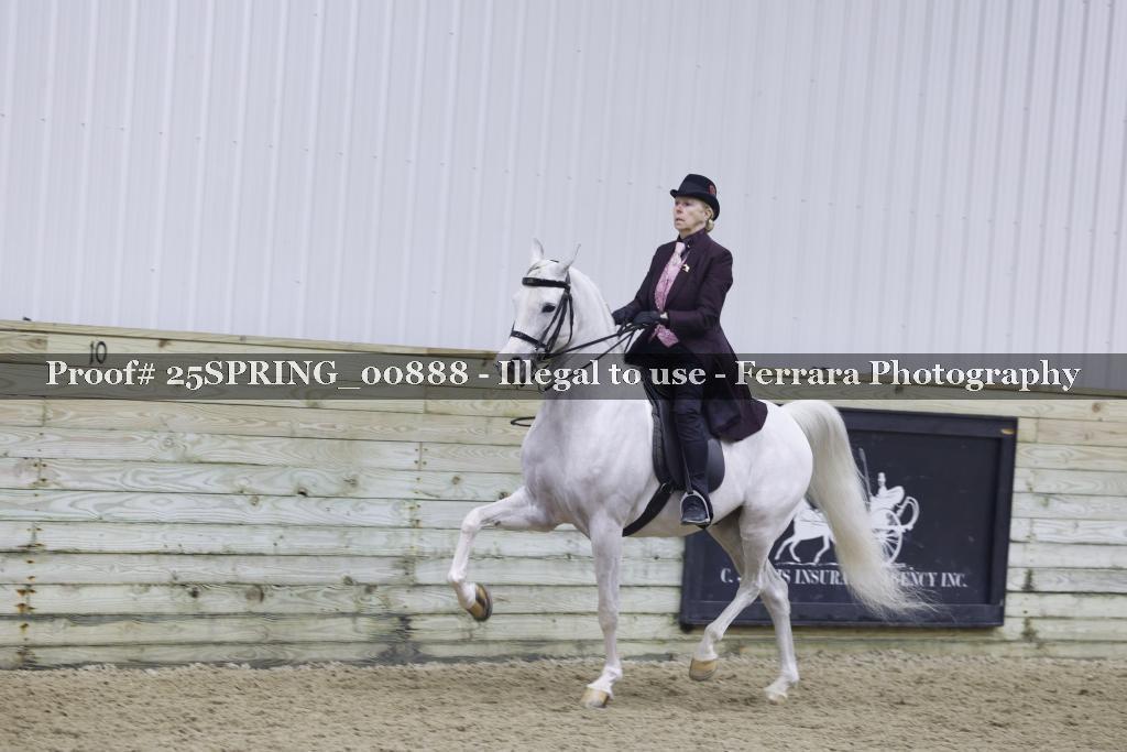 Proof 25SPRING_00888