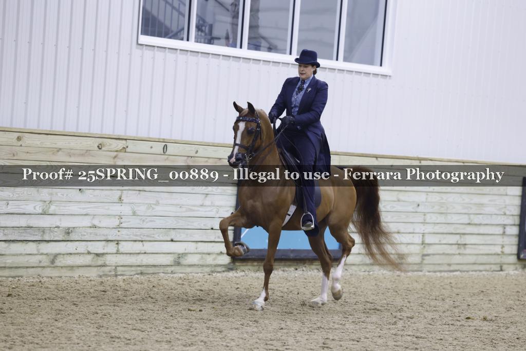 Proof 25SPRING_00889