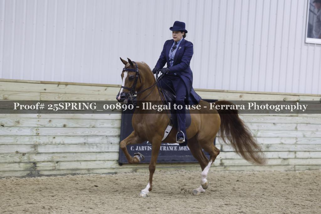 Proof 25SPRING_00890