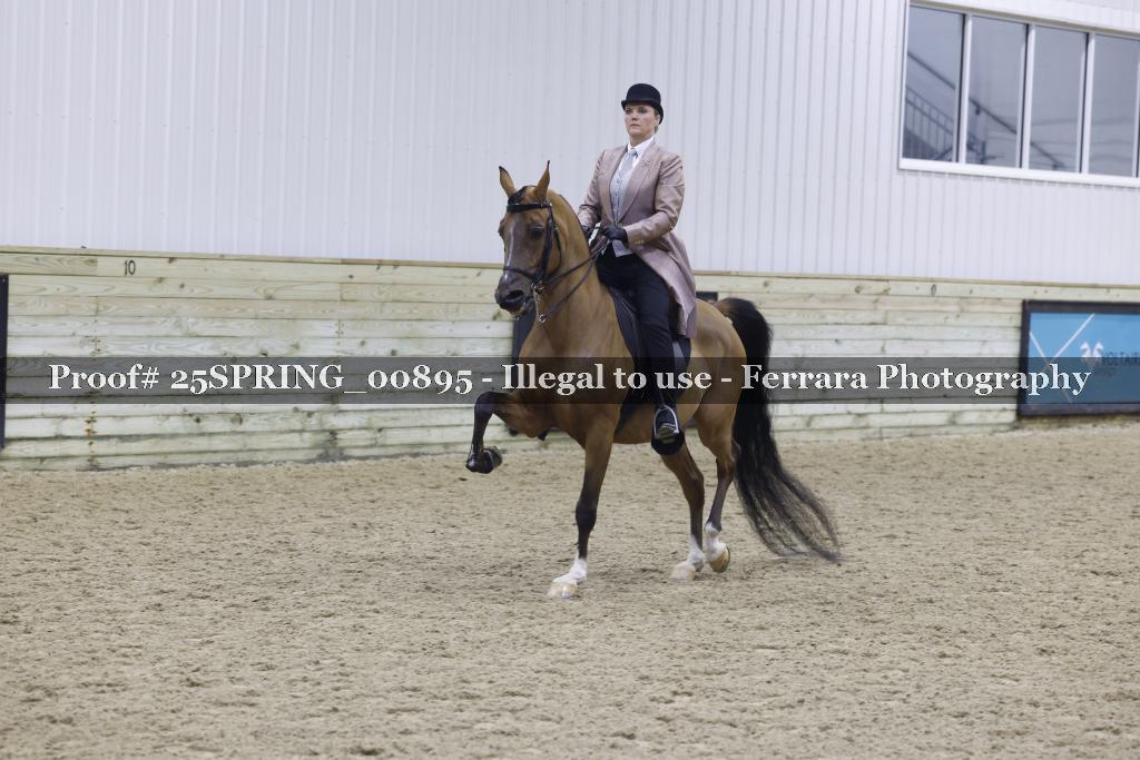 Proof 25SPRING_00895