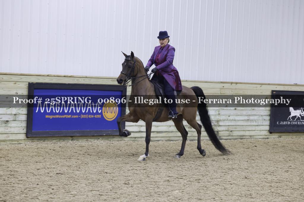 Proof 25SPRING_00896