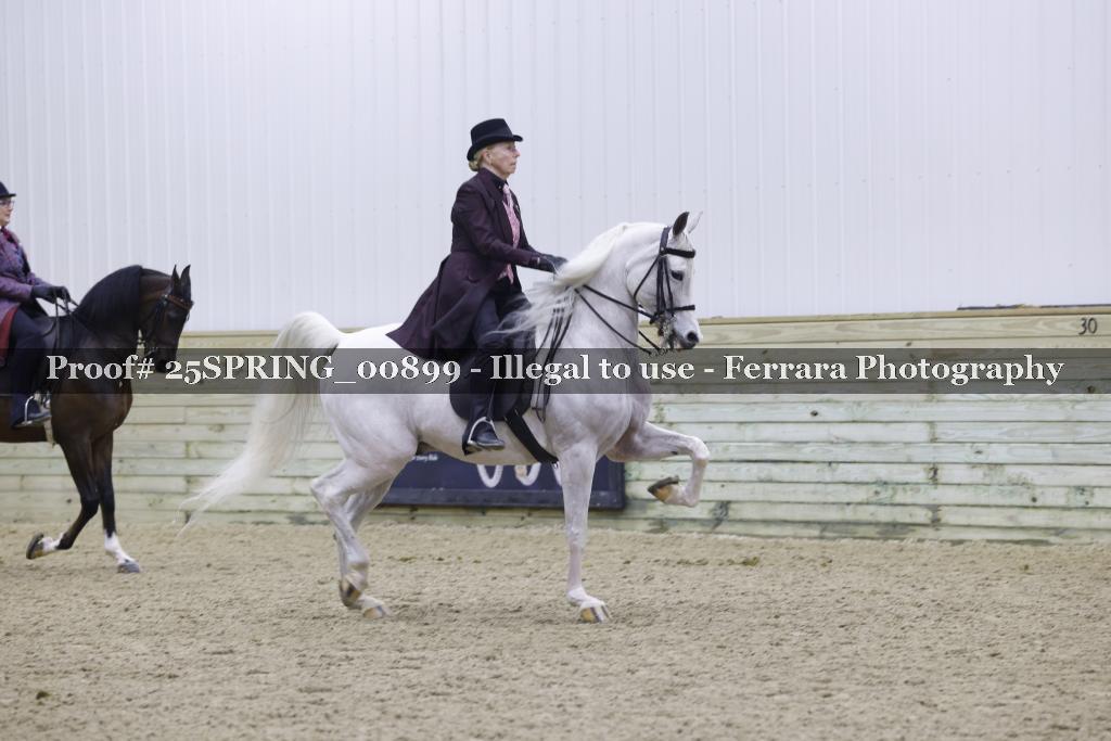 Proof 25SPRING_00899