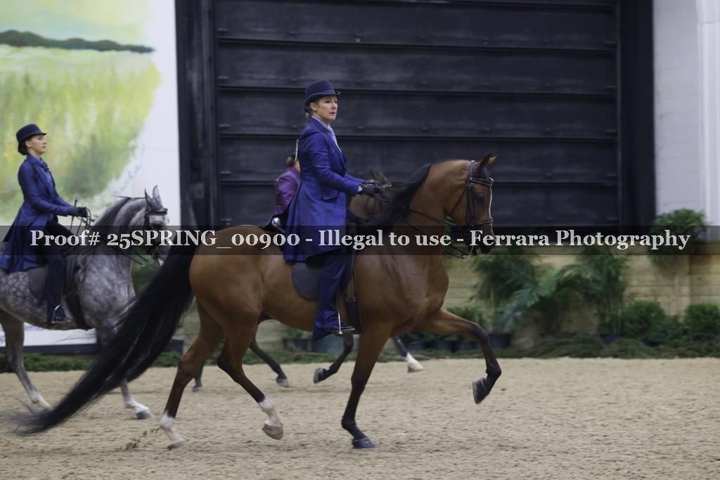 Proof 25SPRING_00900