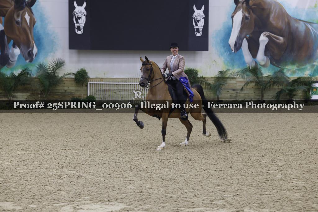 Proof 25SPRING_00906