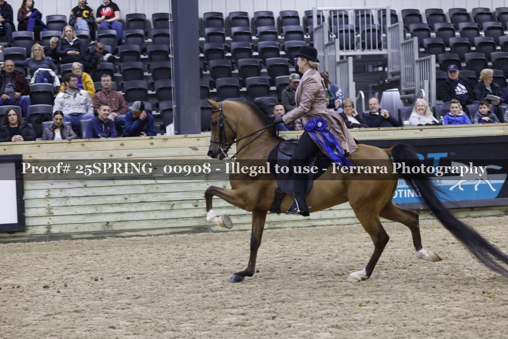 Proof 25SPRING_00908