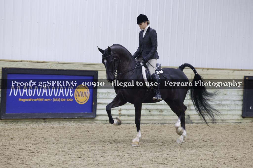 Proof 25SPRING_00910