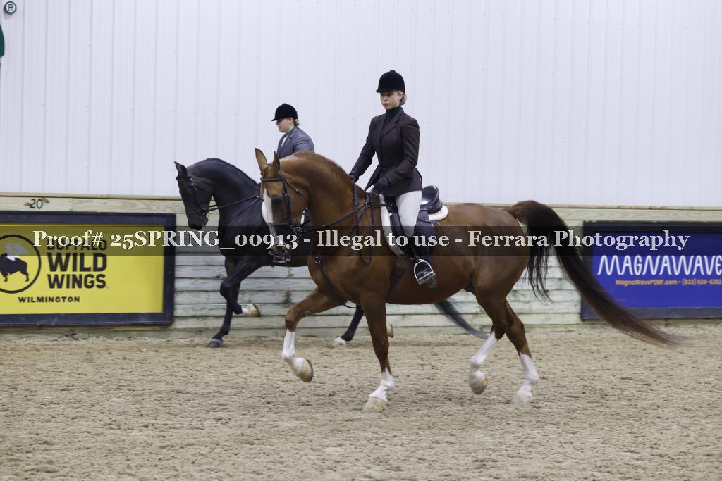 Proof 25SPRING_00913