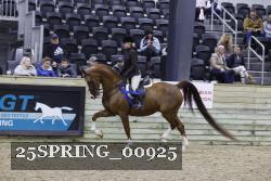 25SPRING_00925 proof